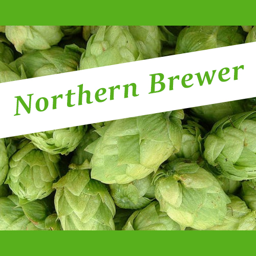 The_Hoppy_Brewer_Northern_Brewer_hops