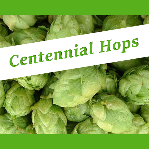 The_Hoppy_Brewer_Centennial_hops