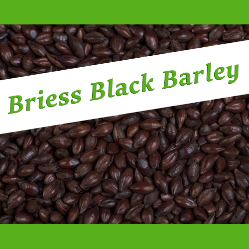The_Hoppy_Brewer_Briess Black Barley